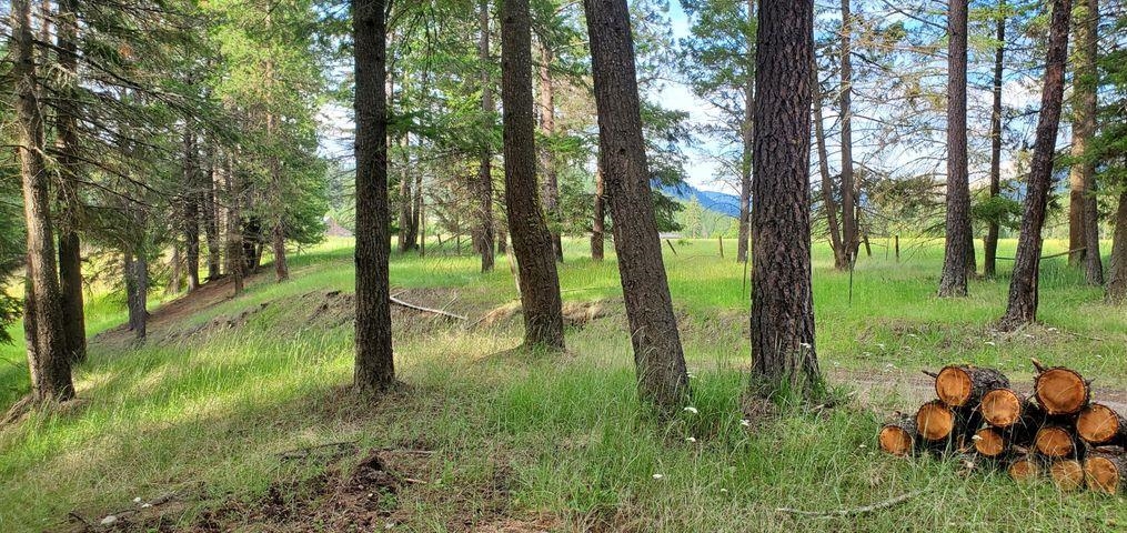 6-xx Finley Gulch Road Colville, WA 99114 - Photo 7 of 9 Gallery Image 7