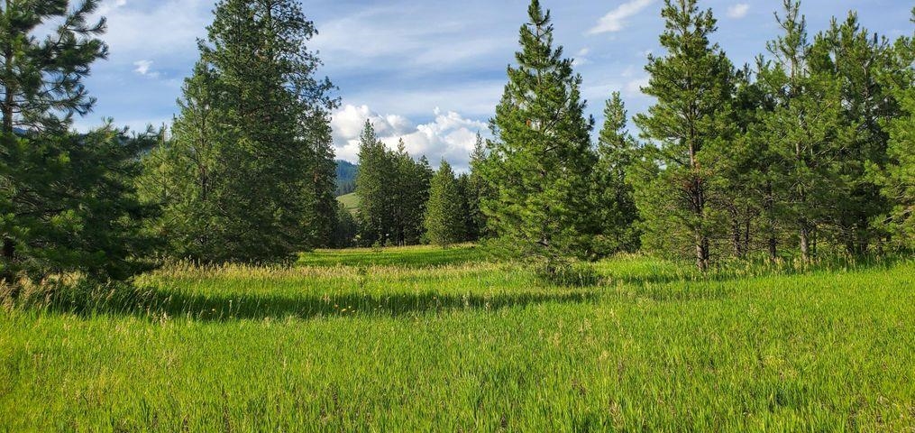 6-xx Finley Gulch Road Colville, WA 99114 - Photo 8 of 9 Gallery Image 8