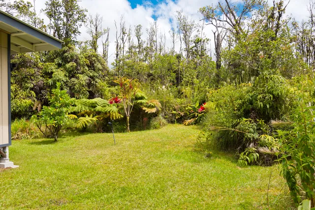 a view of outdoor space and trees