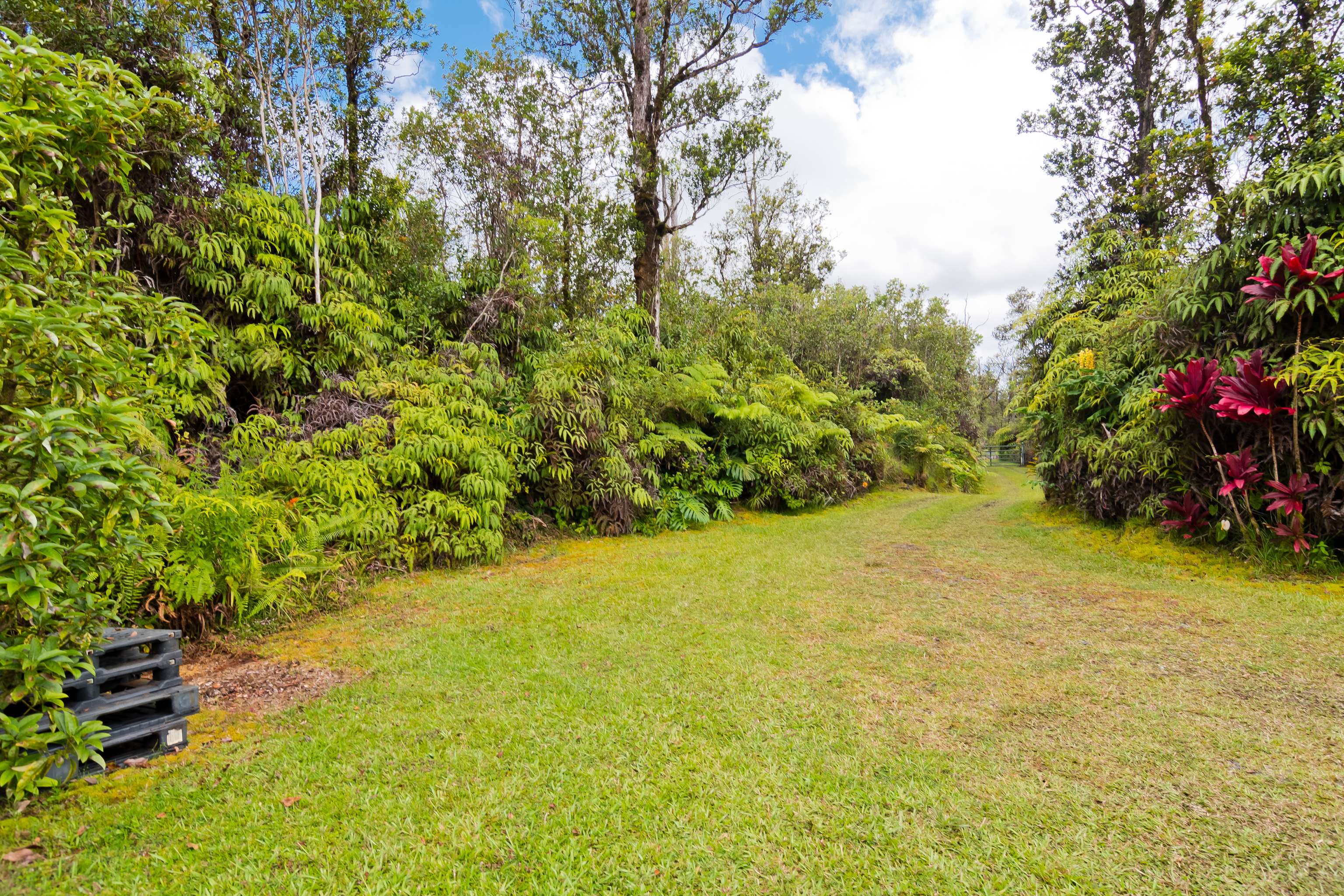 11-2430 Makoa Road Mountain View, HI 96771 - Photo 24 of 30 a view of a yard with a tree