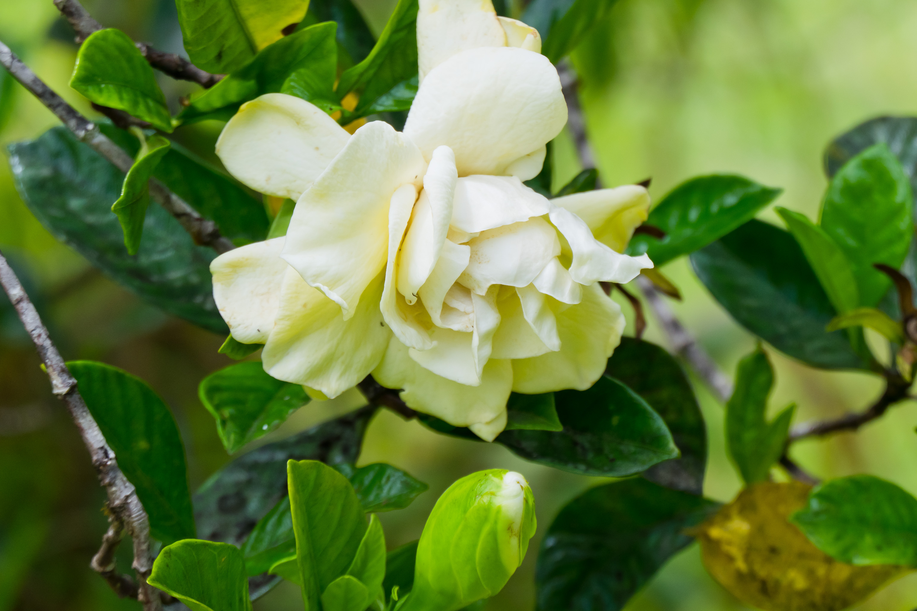 11-2430 Makoa Road Mountain View, HI 96771 - Photo 28 of 30 a bathroom with a sink and mirror