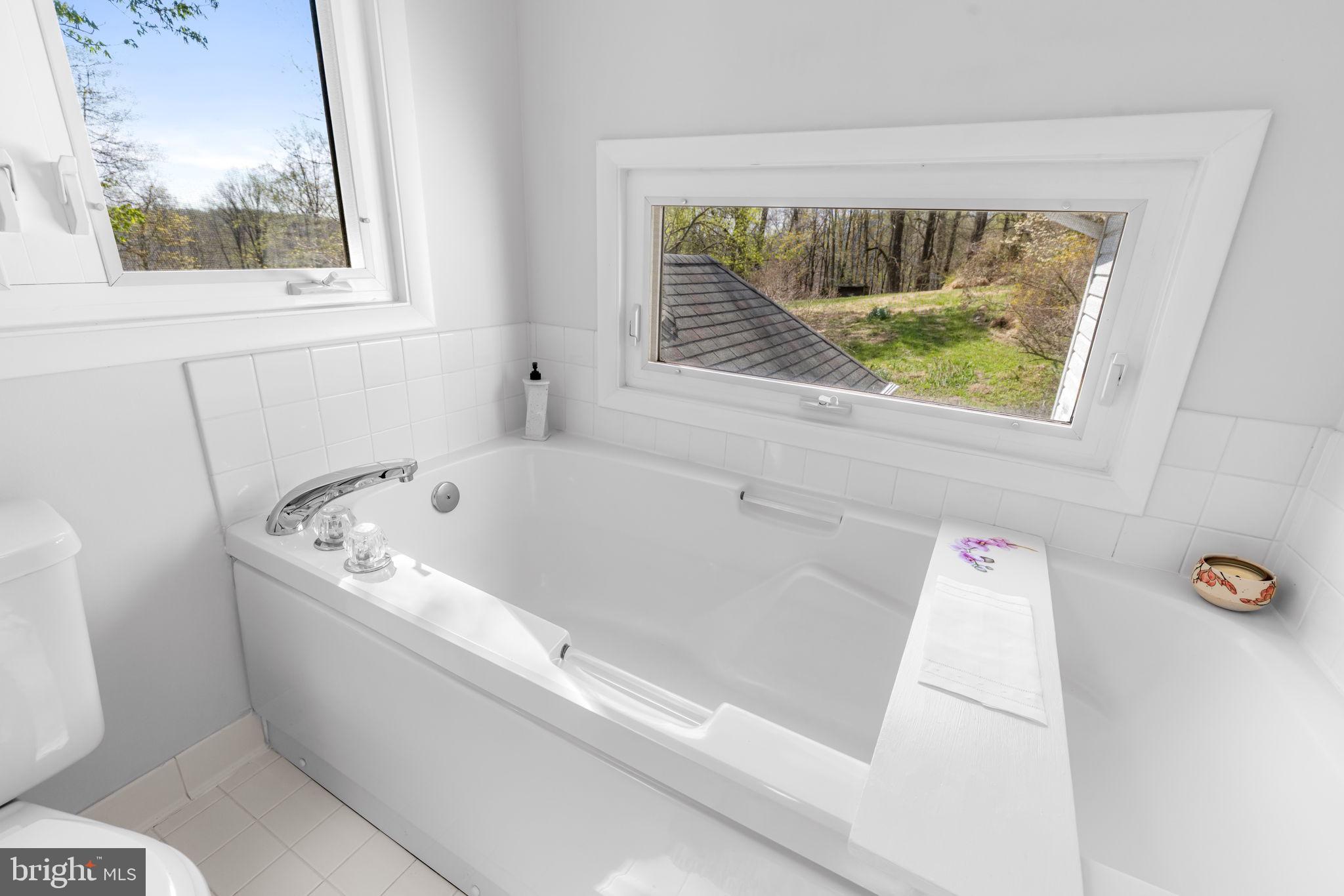 8230 Dogwood Road Windsor Mill, MD 21244 - Photo 30 of 58 Primary Bath