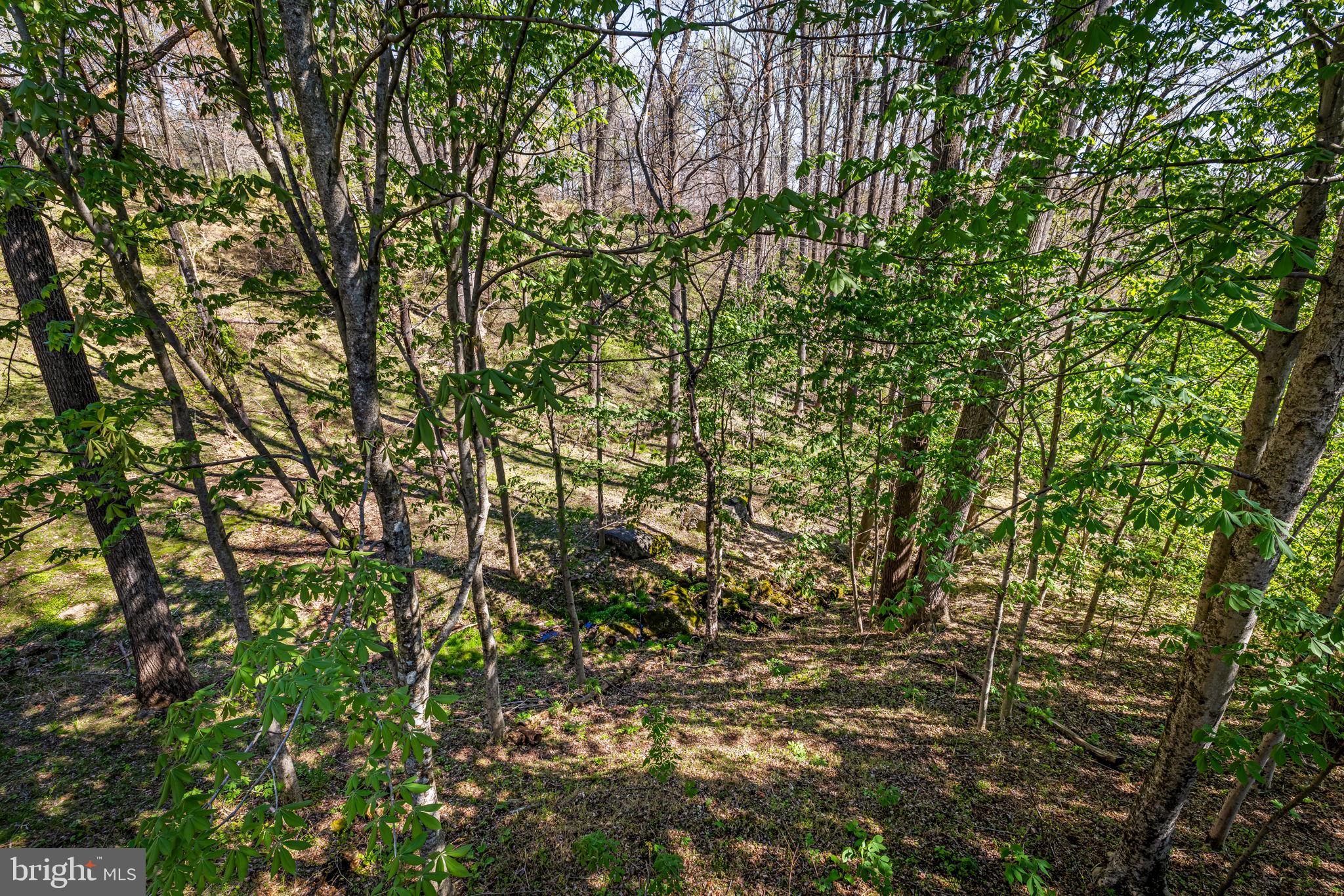 8230 Dogwood Road Windsor Mill, MD 21244 - Photo 42 of 58 View from the deck
