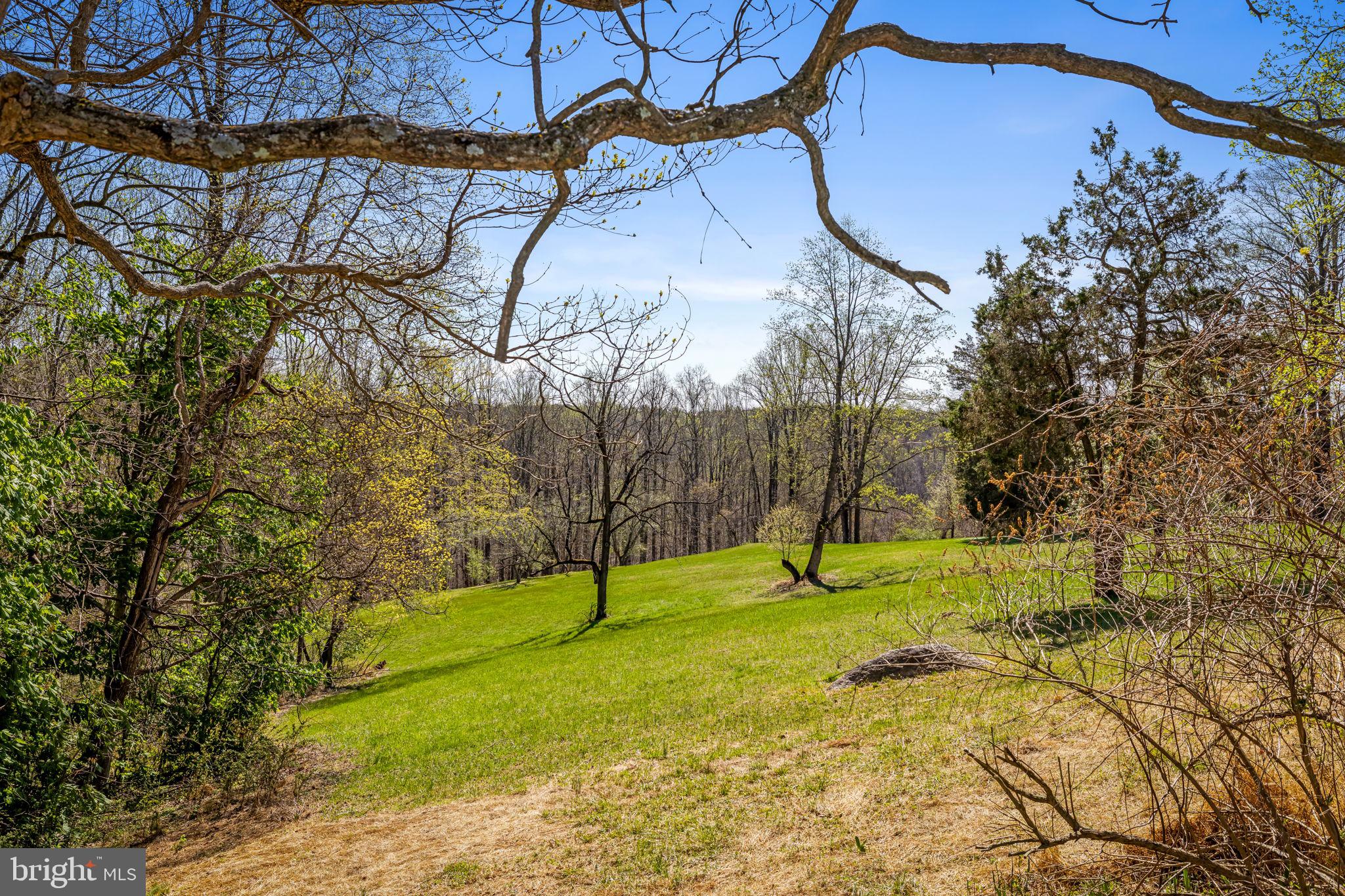 8230 Dogwood Road Windsor Mill, MD 21244 - Photo 47 of 58 Beautiful Views