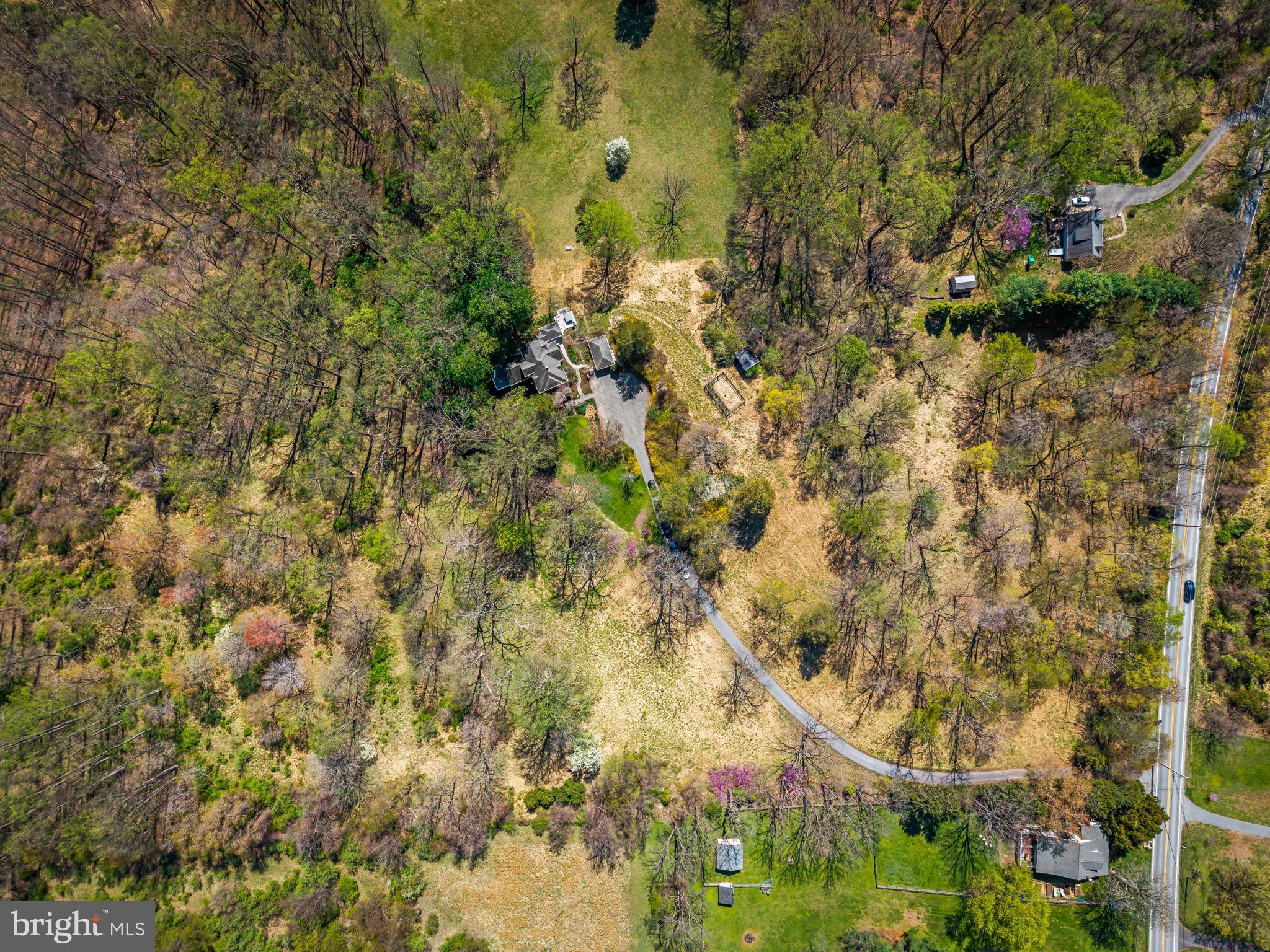 8230 Dogwood Road Windsor Mill, MD 21244 - Photo 51 of 58 House, Garage & Garden