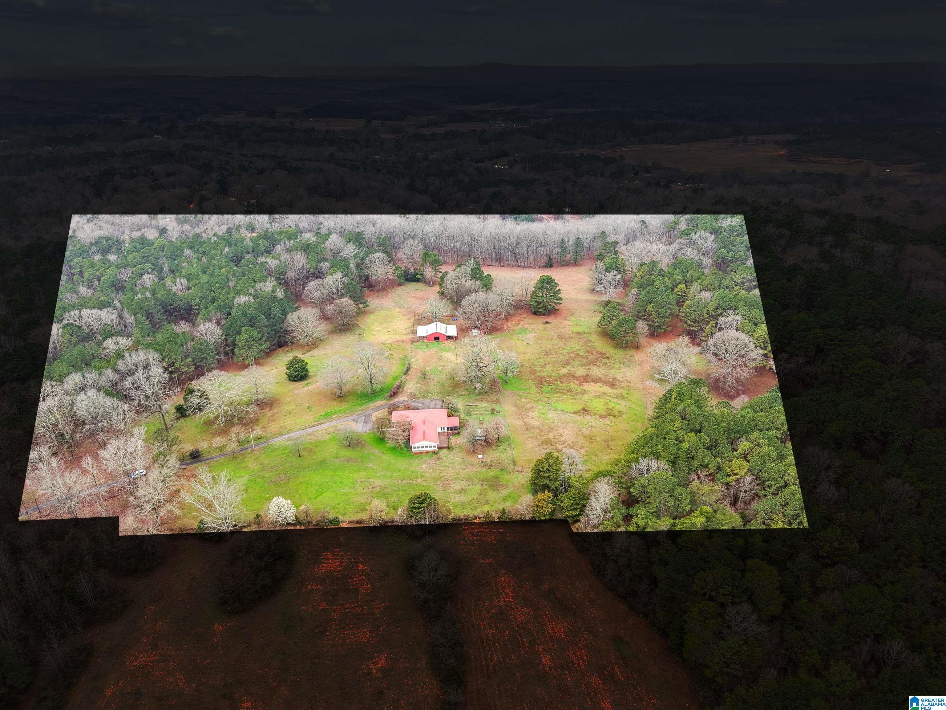 3953 Logan Martin Dam Road Cropwell, AL 35054 - Photo 59 of 99