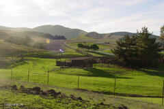 6500 Santa Rosa Road Buellton, CA 93427 - Photo 11 of 97 a view of a house with a yard