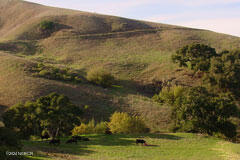 6500 Santa Rosa Road Buellton, CA 93427 - Photo 12 of 97 35