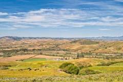 6500 Santa Rosa Road Buellton, CA 93427 - Photo 16 of 97 19