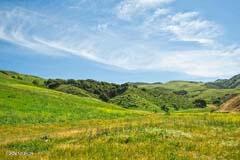 6500 Santa Rosa Road Buellton, CA 93427 - Photo 17 of 97 20