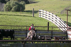 6500 Santa Rosa Road Buellton, CA 93427 - Photo 27 of 97 38