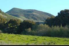 6500 Santa Rosa Road Buellton, CA 93427 - Photo 30 of 97 7