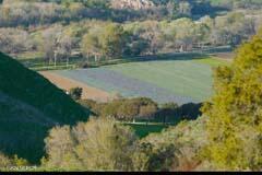6500 Santa Rosa Road Buellton, CA 93427 - Photo 32 of 97 a view of a lake from a yard