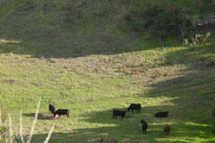 6500 Santa Rosa Road Buellton, CA 93427 - Photo 37 of 97 37