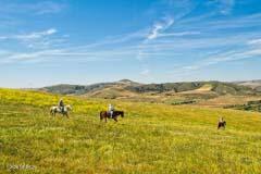 6500 Santa Rosa Road Buellton, CA 93427 - Photo 5 of 97 a view of an ocean