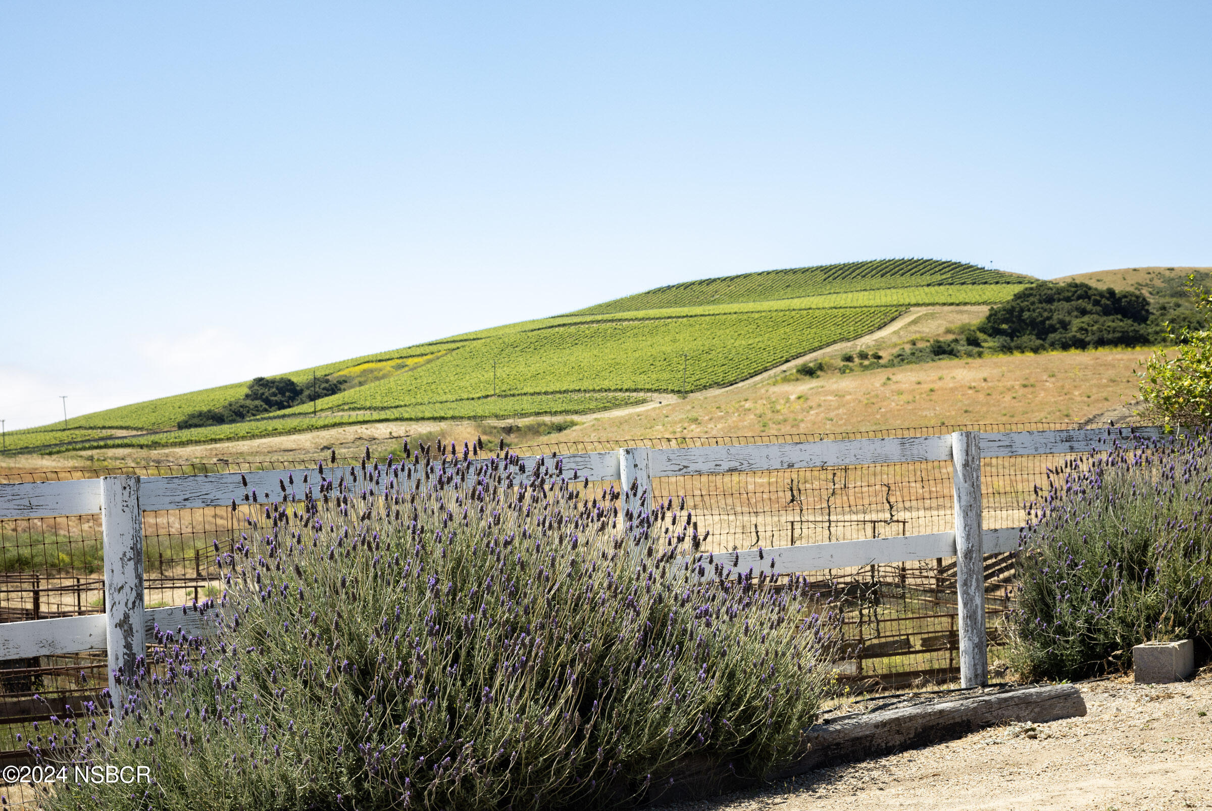 6500 Santa Rosa Road Buellton, CA 93427 - Photo 87 of 97 a view of a large building with a yard