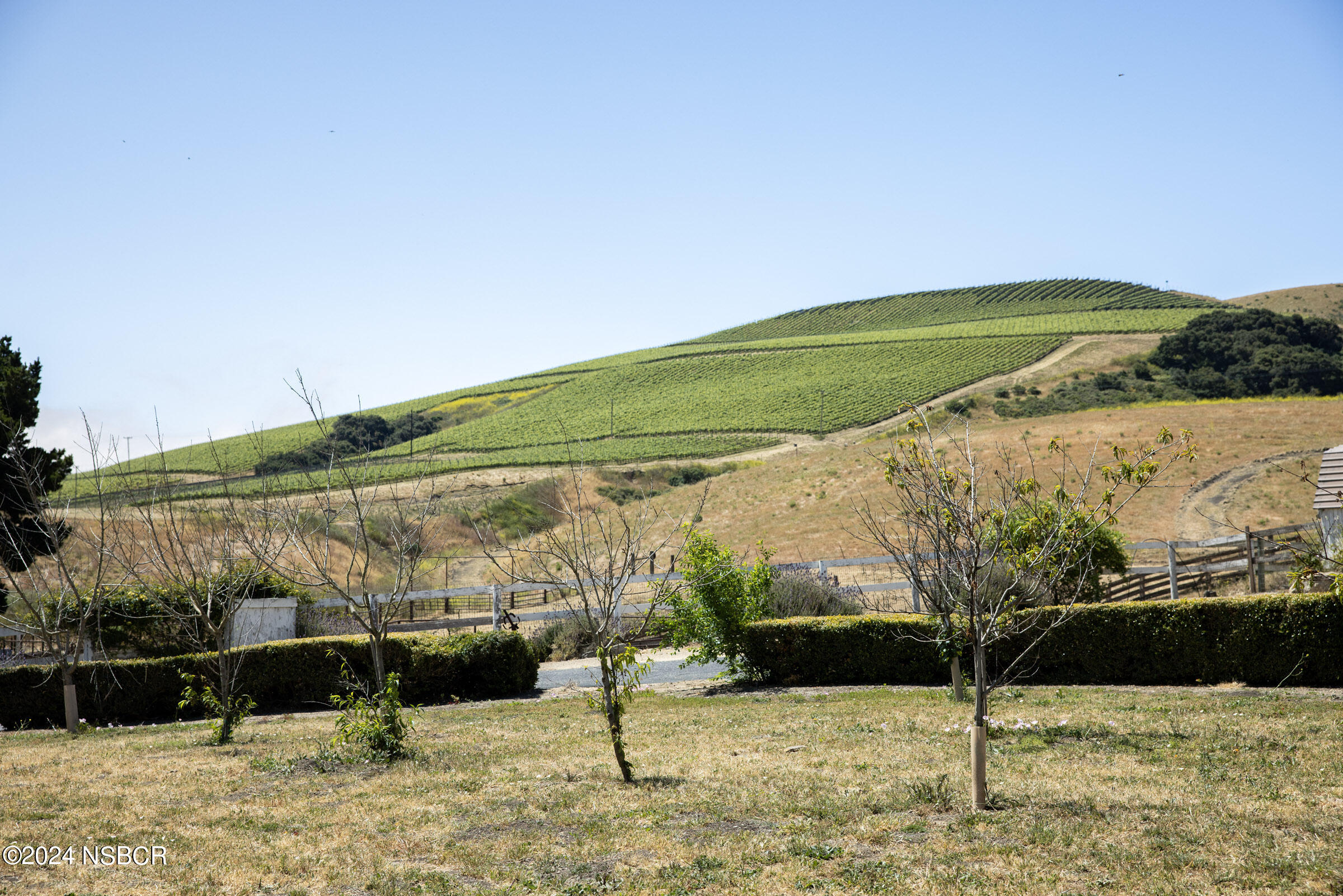 6500 Santa Rosa Road Buellton, CA 93427 - Photo 90 of 97 a view of a yard