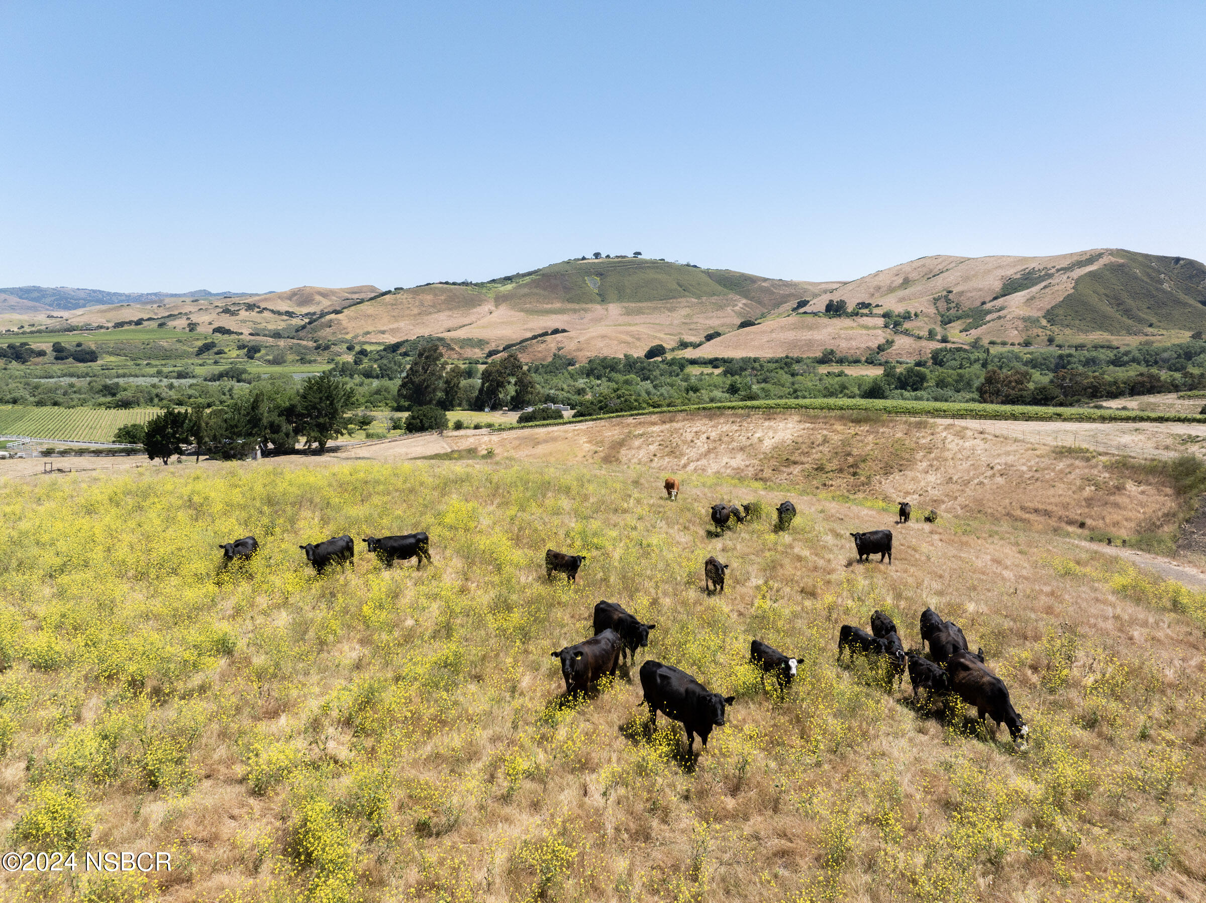 6500 Santa Rosa Road Buellton, CA 93427 - Photo 93 of 97 6500 Santa Rosa Rd_0033