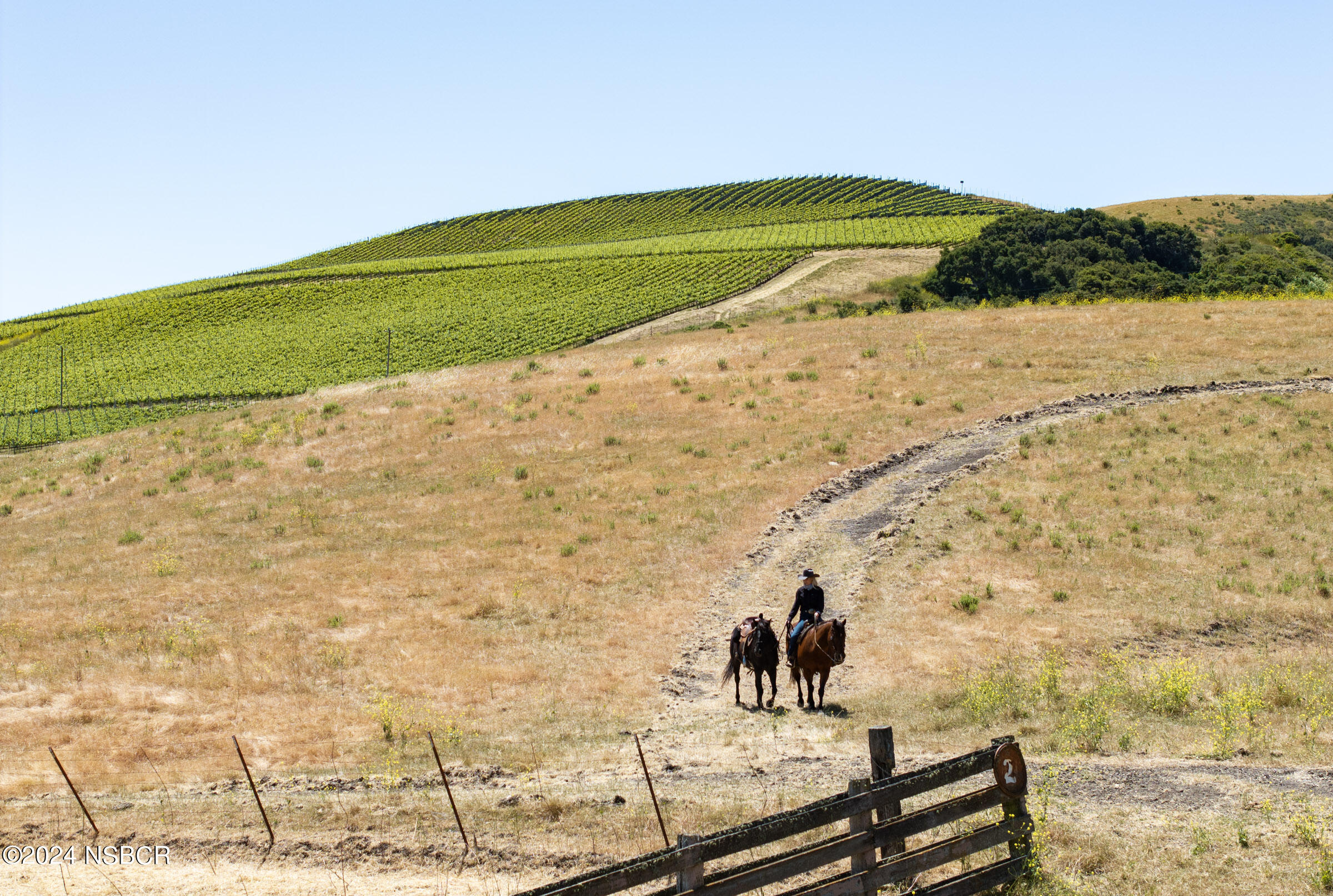6500 Santa Rosa Road Buellton, CA 93427 - Photo 94 of 97 6500 Santa Rosa Rd_0034