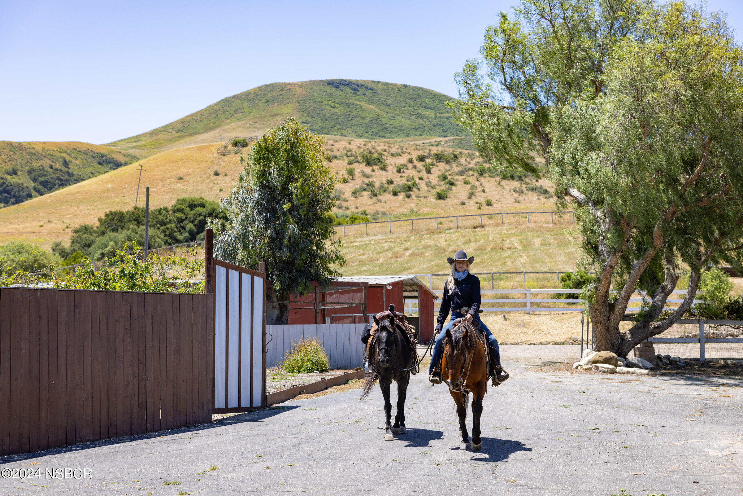 6500 Santa Rosa Road Buellton, CA 93427 - Photo 96 of 97 a view of a park with a tree