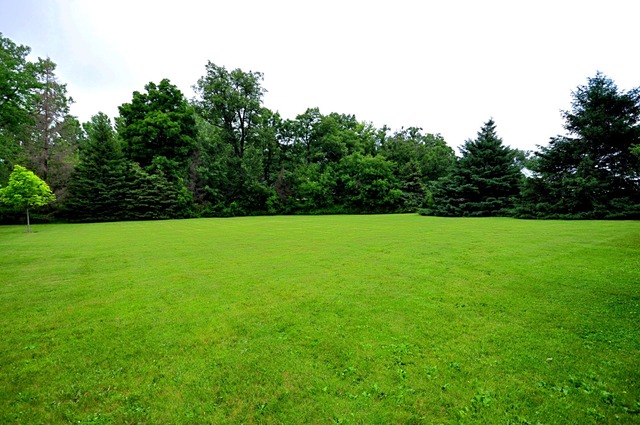 8N209 Thomas Road Maple Park, IL 60151 - Photo 24 of 25