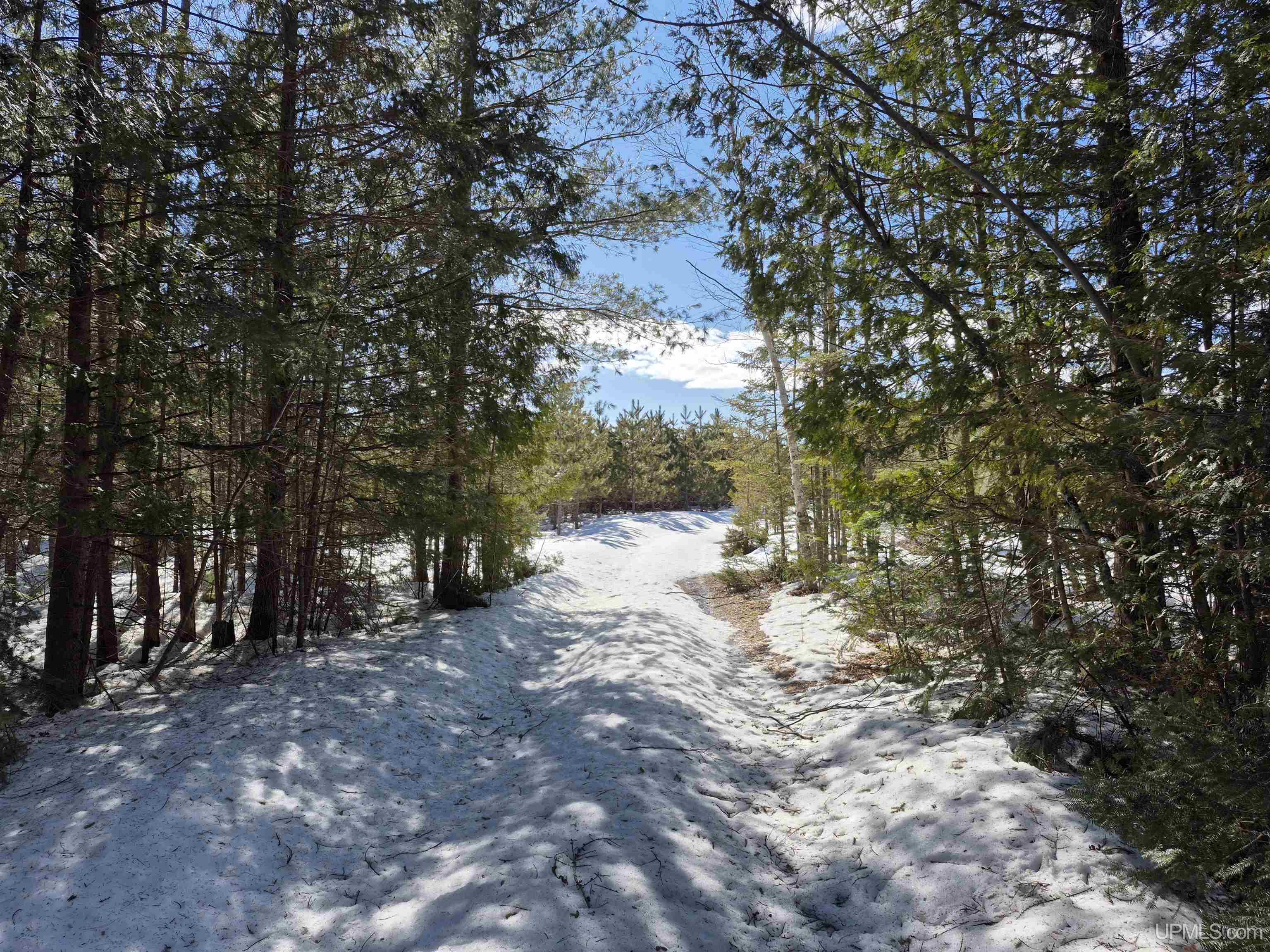 20-acres Off Flodin Road Manistique, MI 49854 - Photo 14 of 29