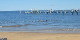 851 Annapolis Avenue Edgewater, MD 21037 - Photo 39 of 52 a view of a dry yard with wooden fence