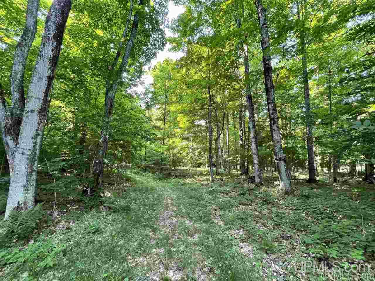 Tbd River Road Gulliver, MI 49840 - Photo 7 of 44 Gallery Image 7