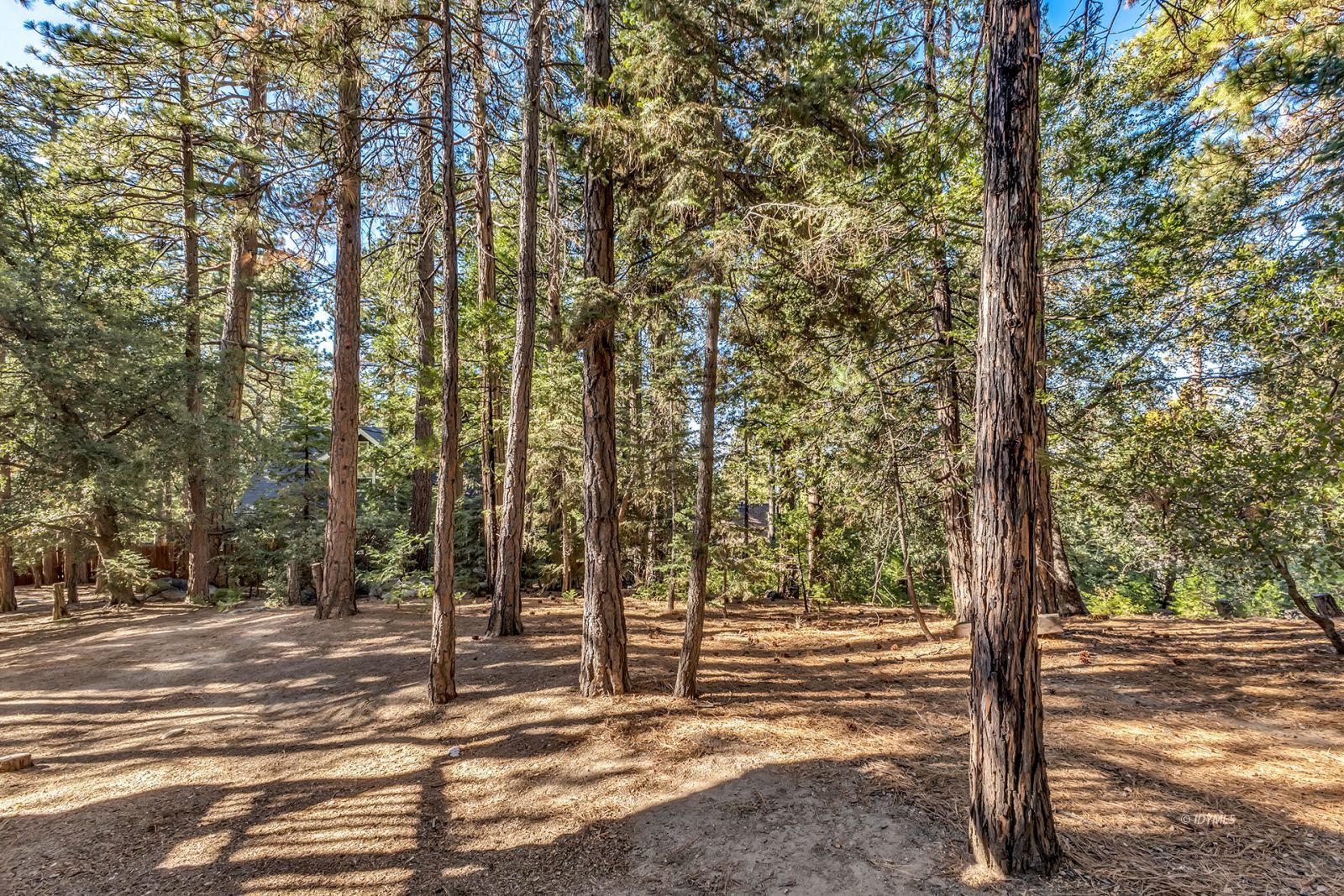 52402 Pine Ridge Road Idyllwild, CA 92549 - Photo 63 of 74 Untitled