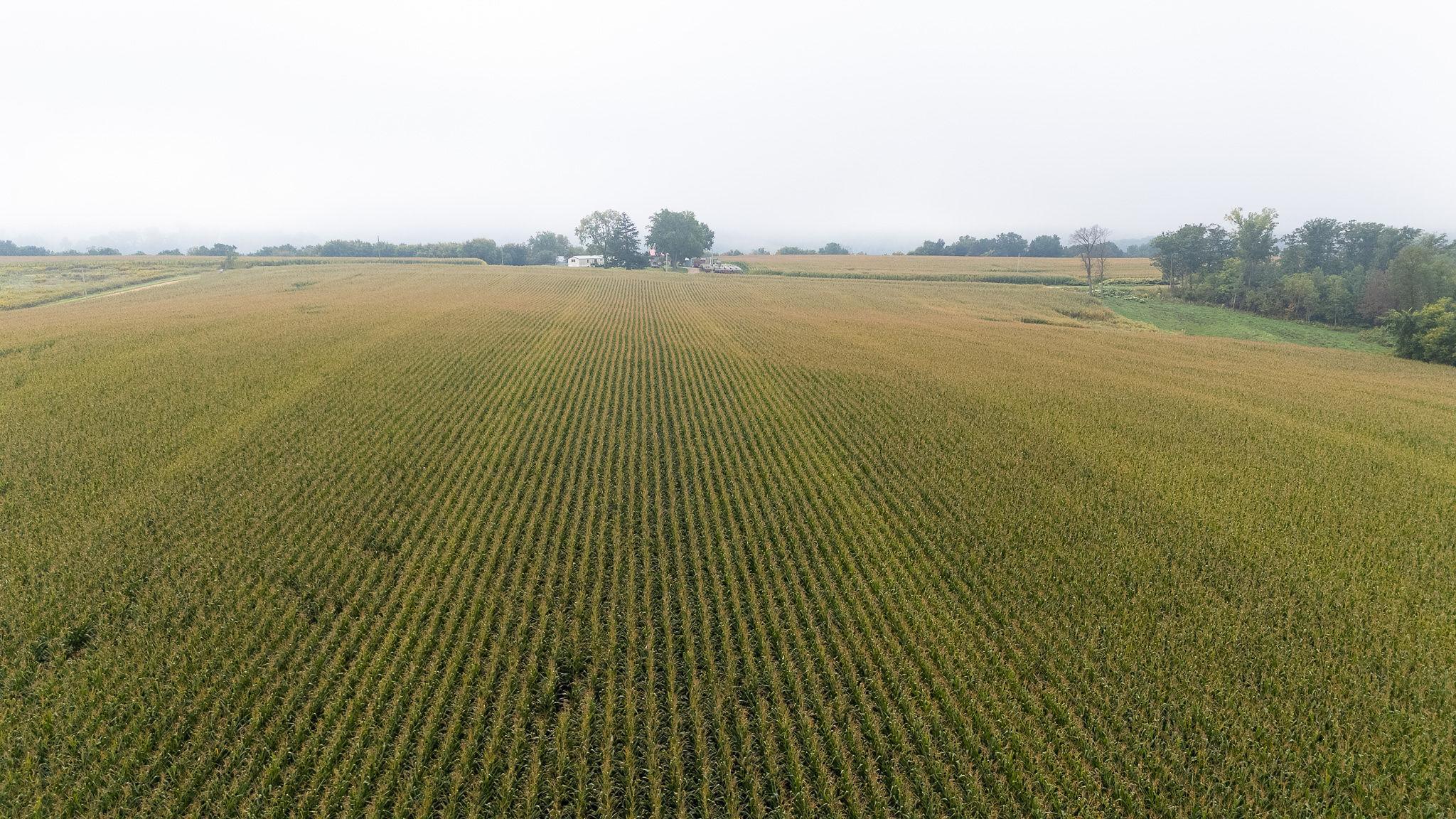 4 Goat Back Road Pepin, WI 54759 - Photo 13 of 23