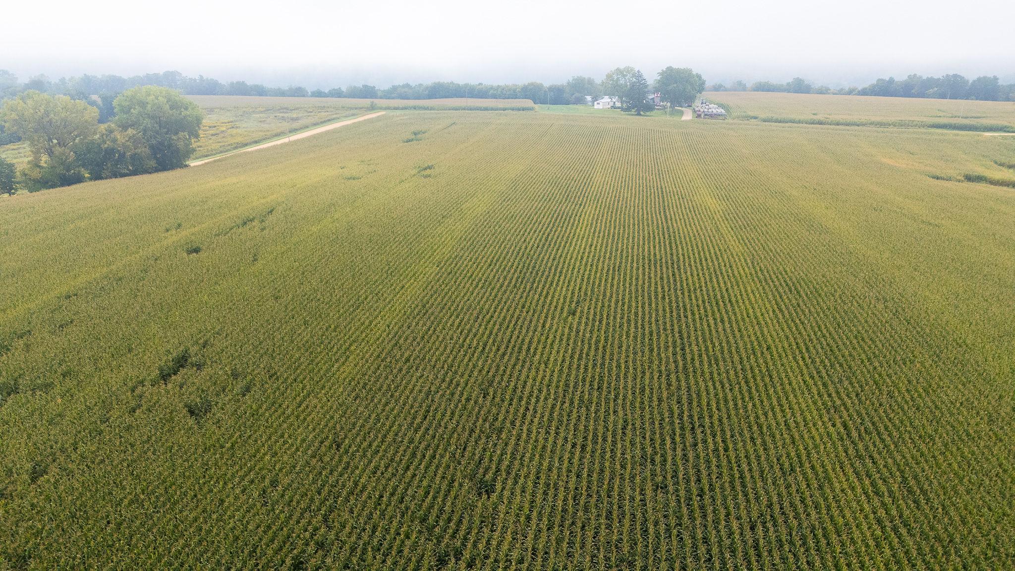 4 Goat Back Road Pepin, WI 54759 - Photo 15 of 23