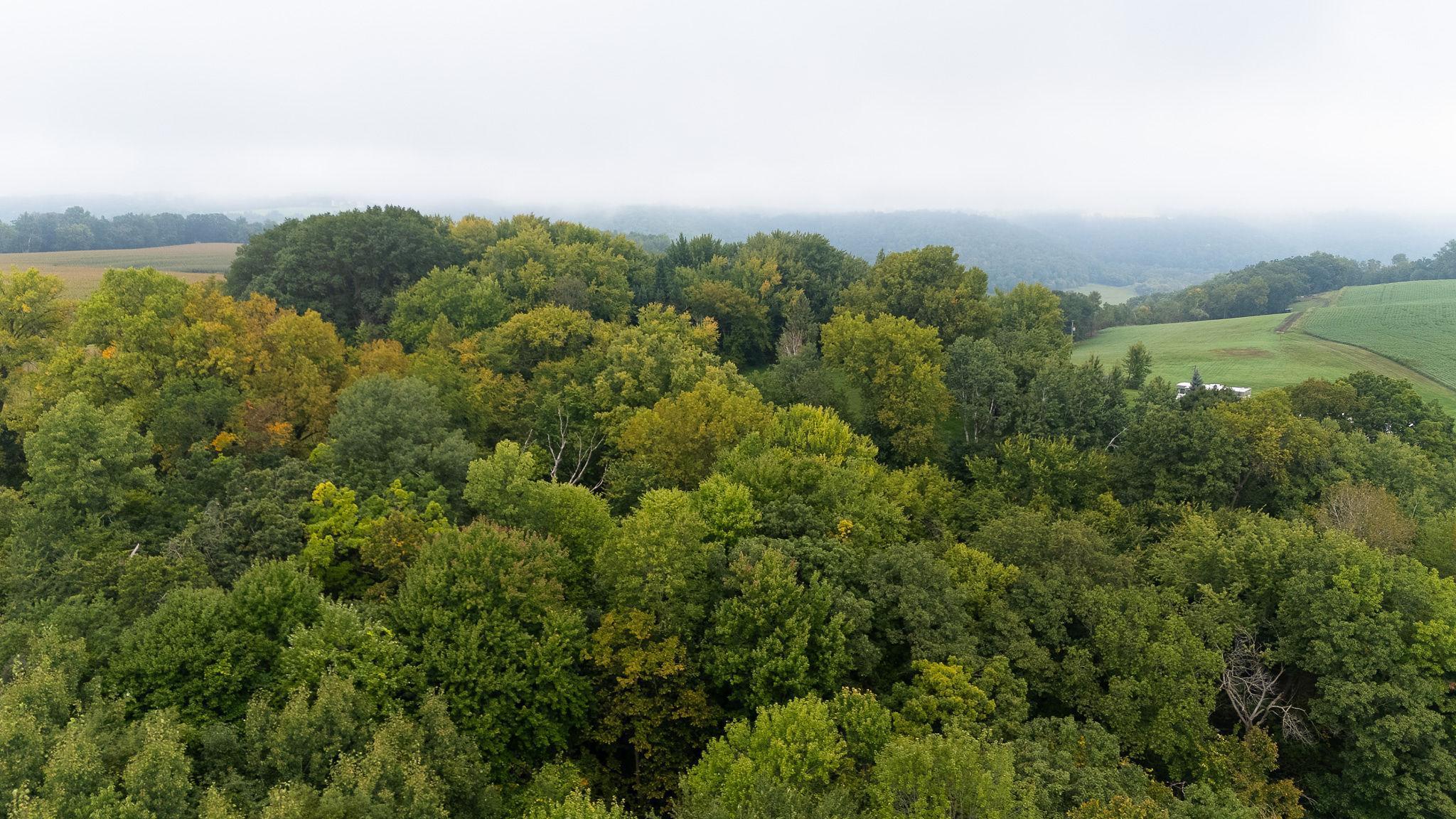 4 Goat Back Road Pepin, WI 54759 - Photo 19 of 23