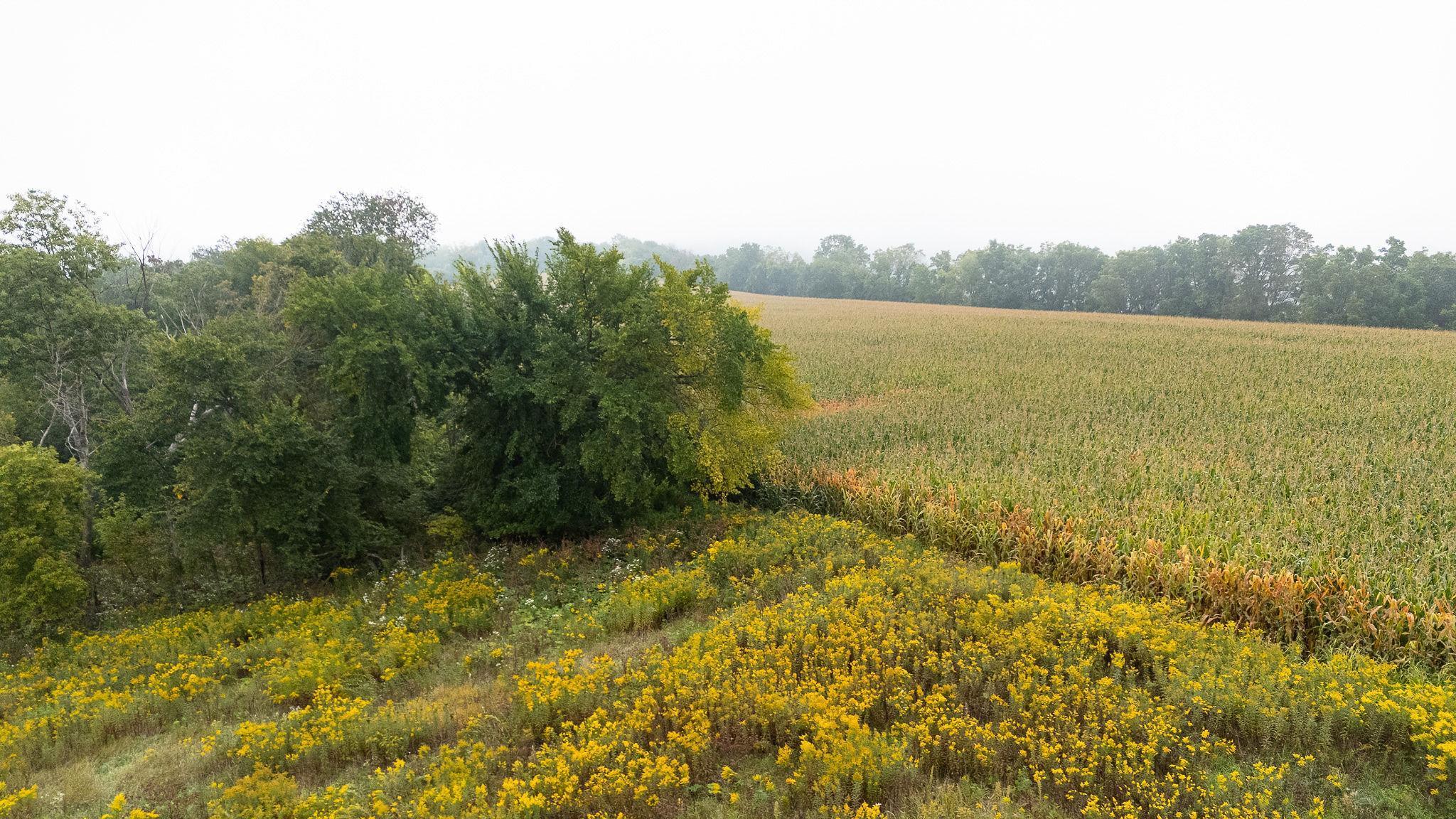 4 Goat Back Road Pepin, WI 54759 - Photo 2 of 23