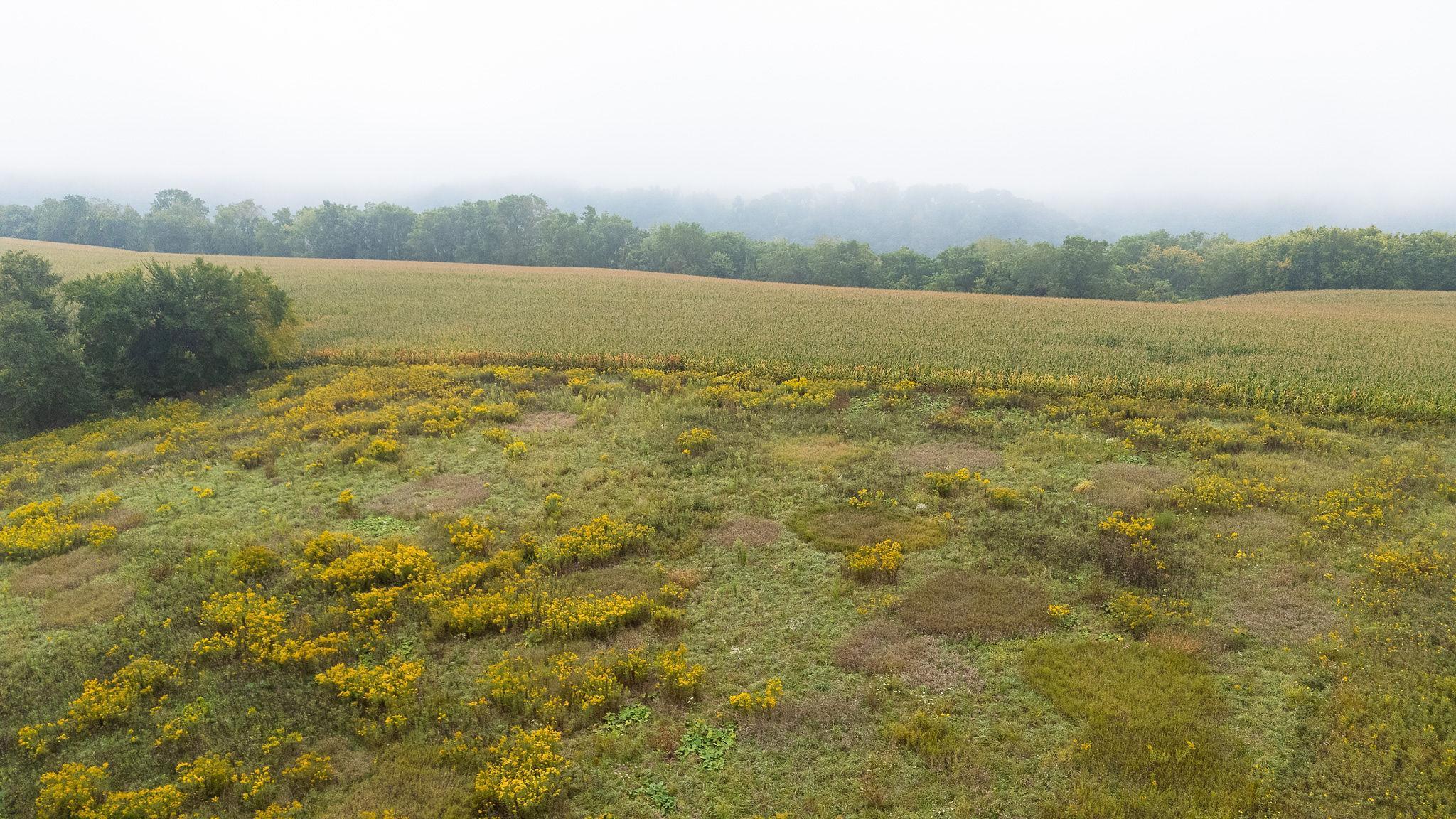 4 Goat Back Road Pepin, WI 54759 - Photo 7 of 23
