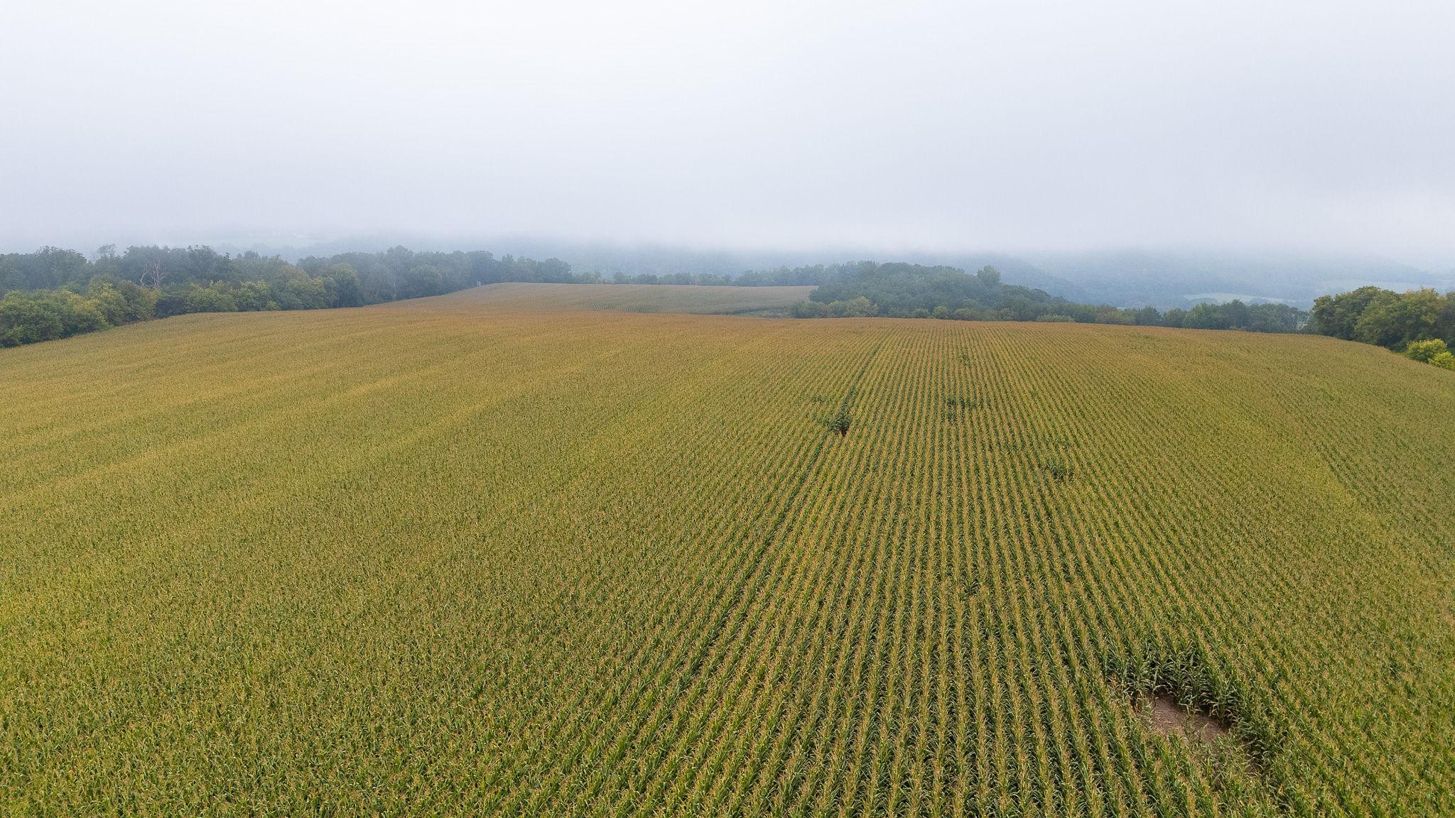 4 Goat Back Road Pepin, WI 54759 - Photo 10 of 23