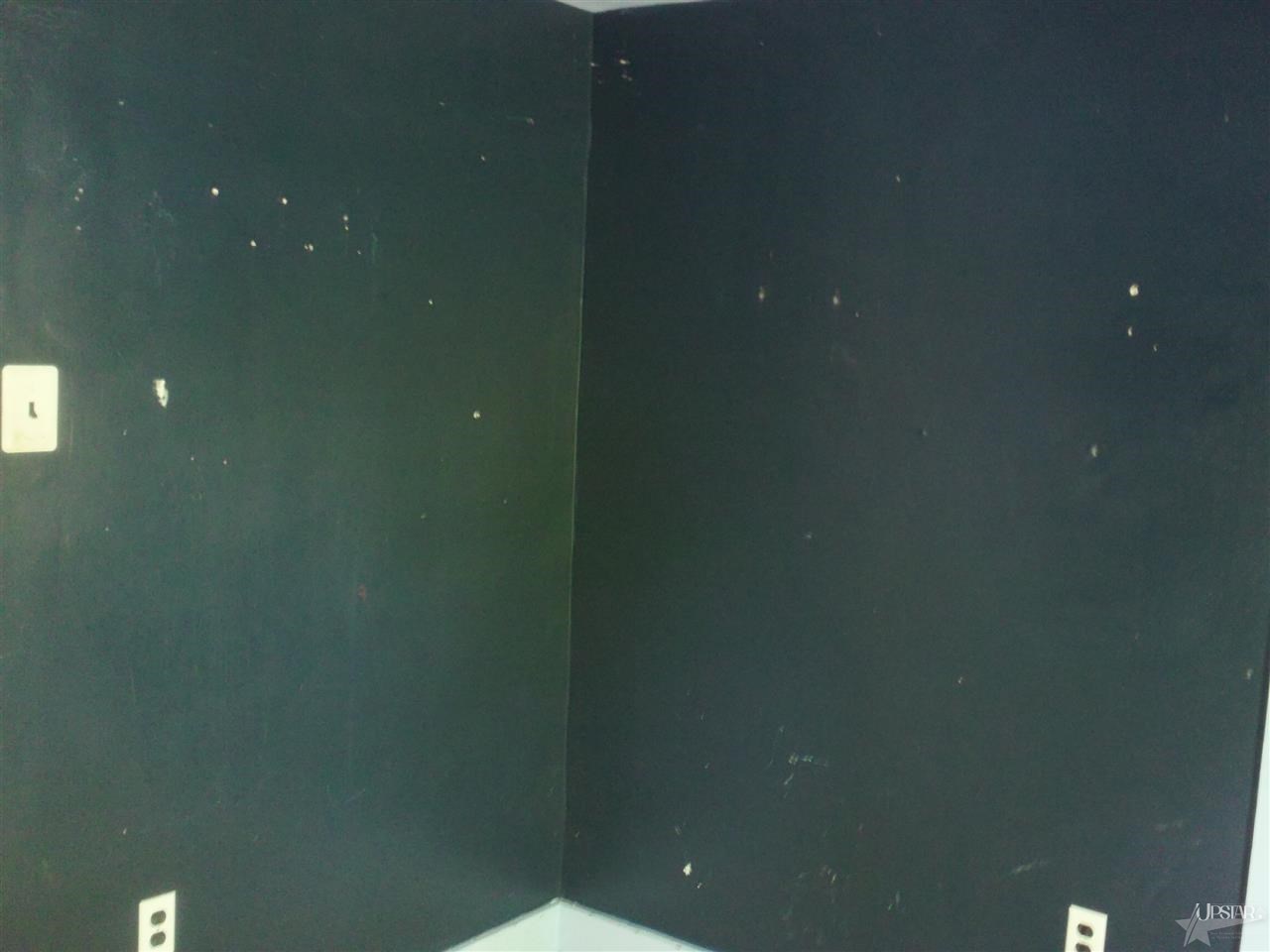 1709 Tecumseh Street Fort Wayne, IN 46805 - Photo 9 of 12