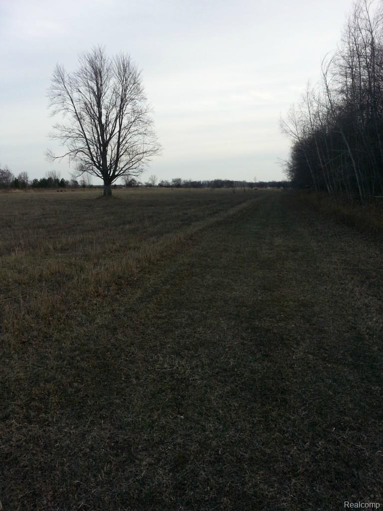 236 Stone Road Deckerville, MI 48427 - Photo 22 of 32 20150412_191642.jpg