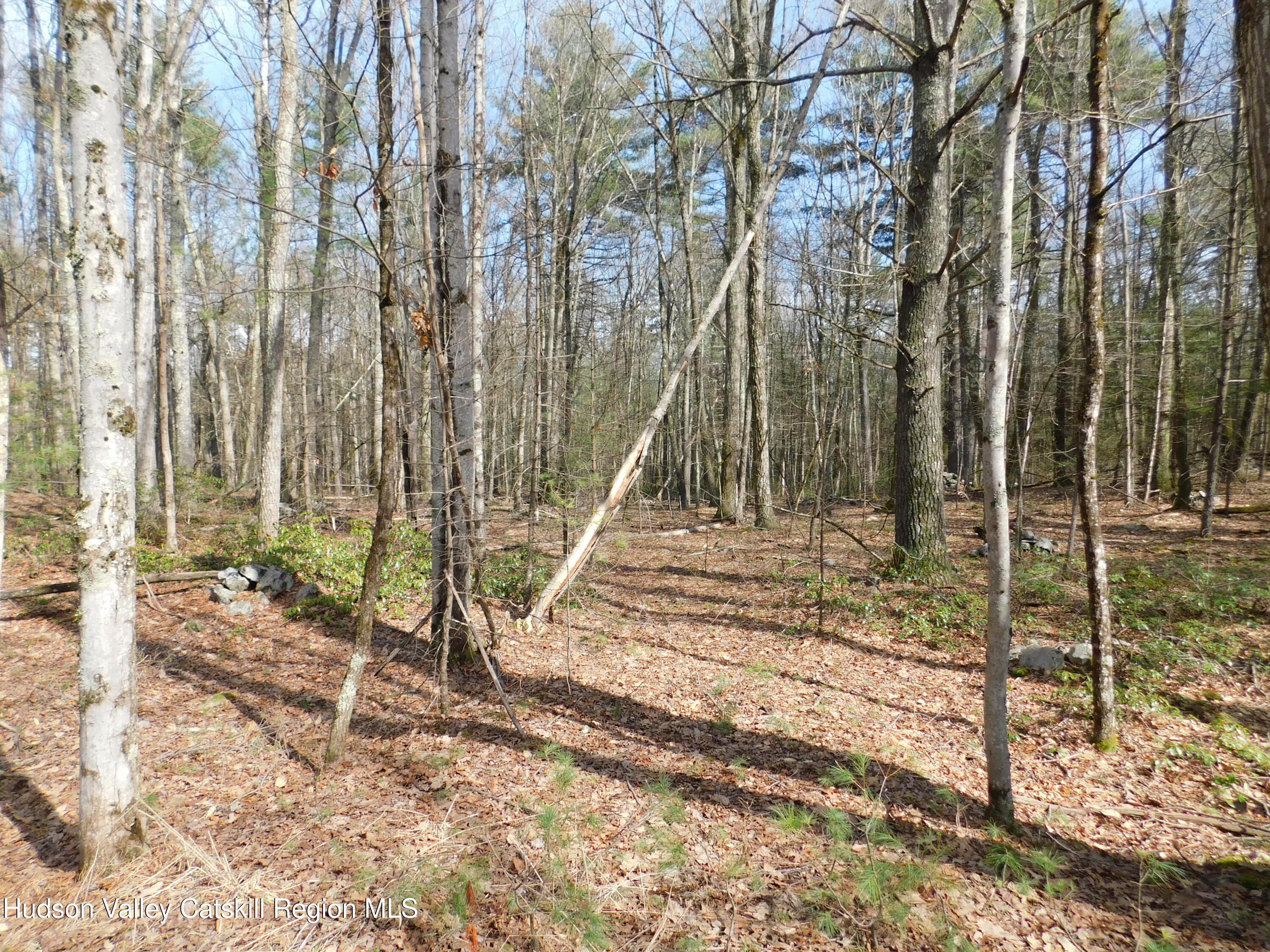 Tbd Wright Road Kerhonkson, NY 12446 - Photo 11 of 13 DSCN5476