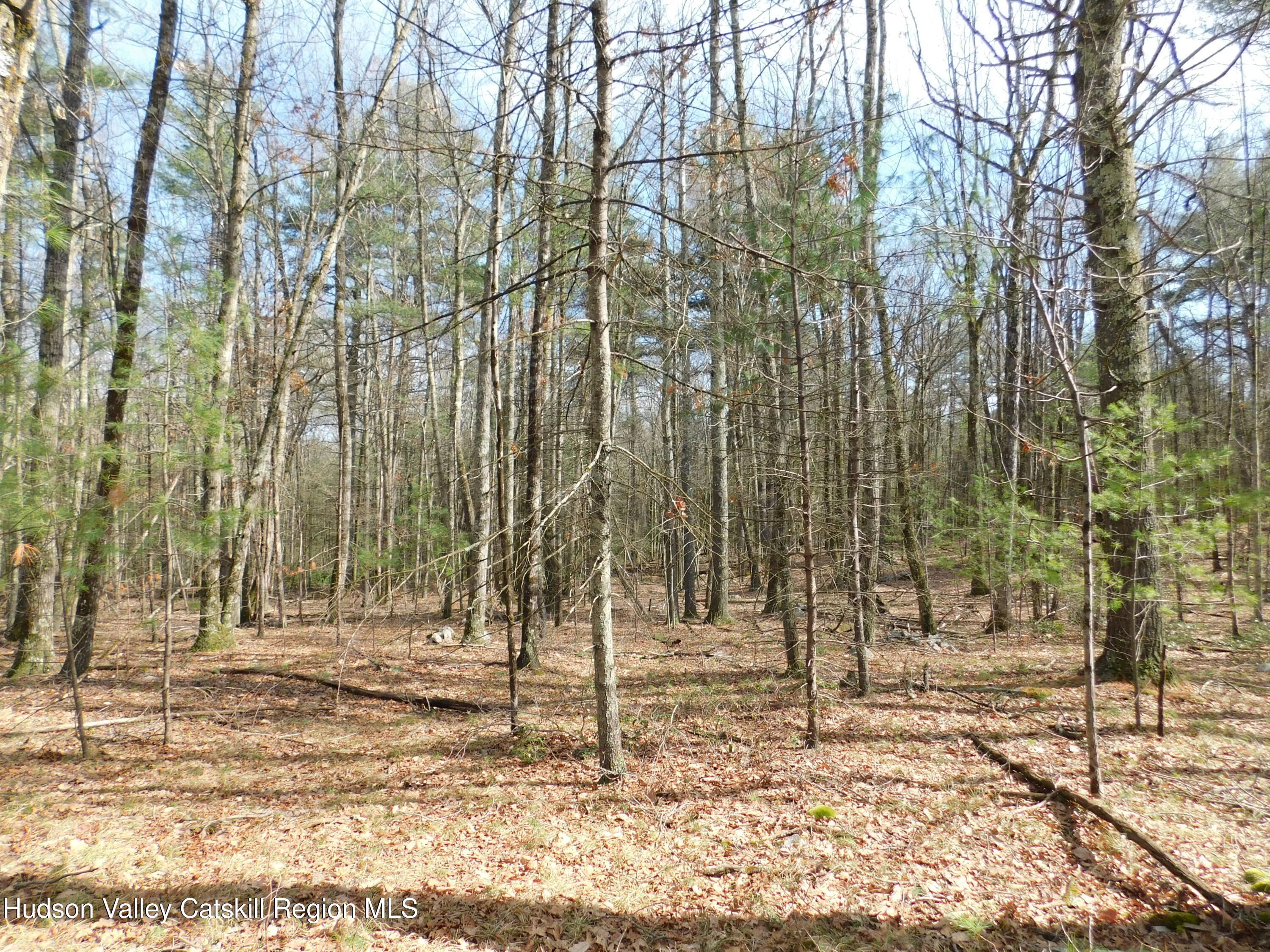 Tbd Wright Road Kerhonkson, NY 12446 - Photo 12 of 13 DSCN5477