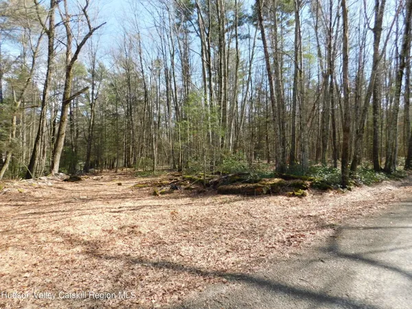 a view of a backyard of the house