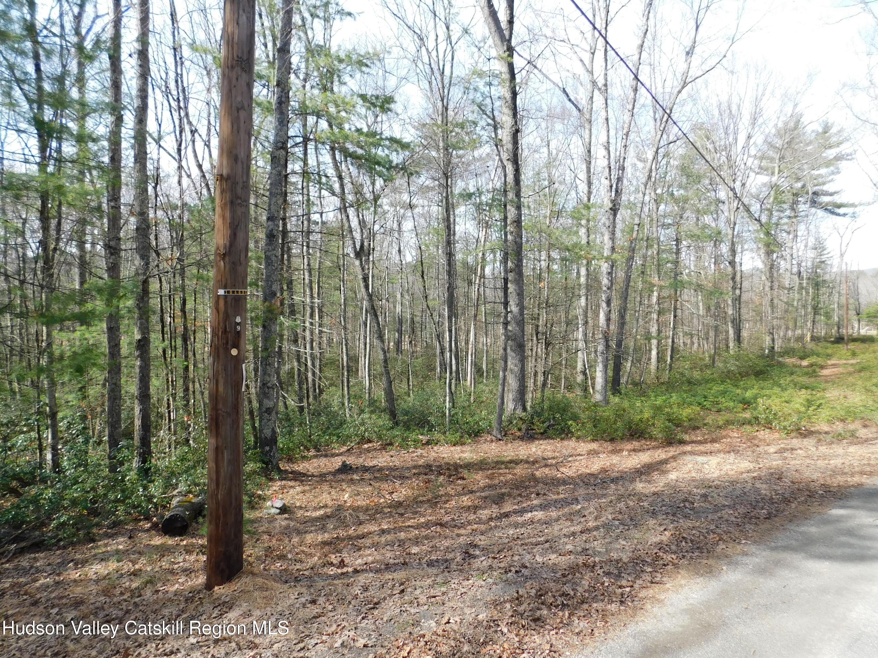 Tbd Wright Road Kerhonkson, NY 12446 - Photo 4 of 13 DSCN5469