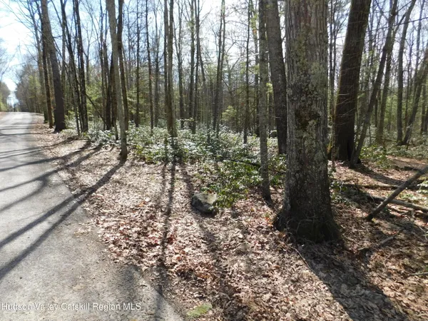 a view of outdoor space with lots of green trees