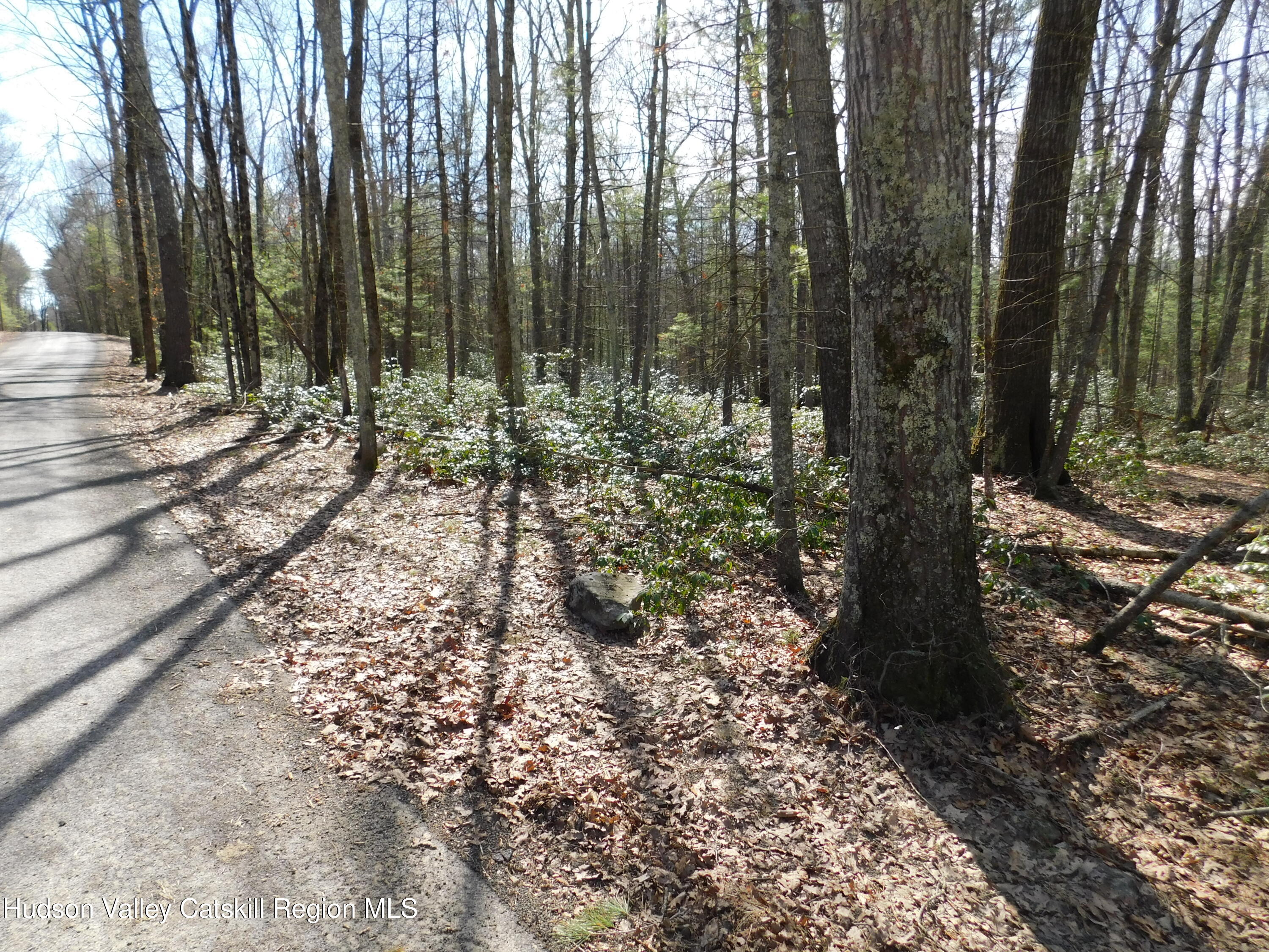 Tbd Wright Road Kerhonkson, NY 12446 - Photo 5 of 13 DSCN5465