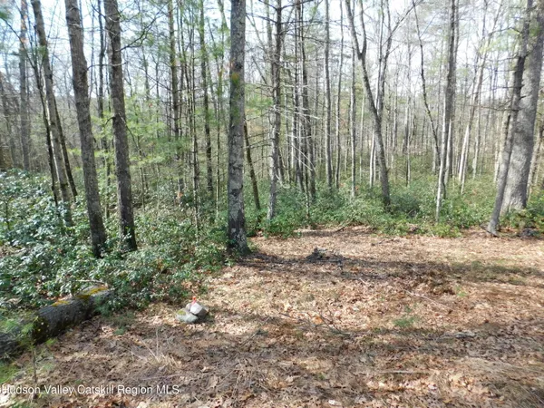 a view of backyard with green space