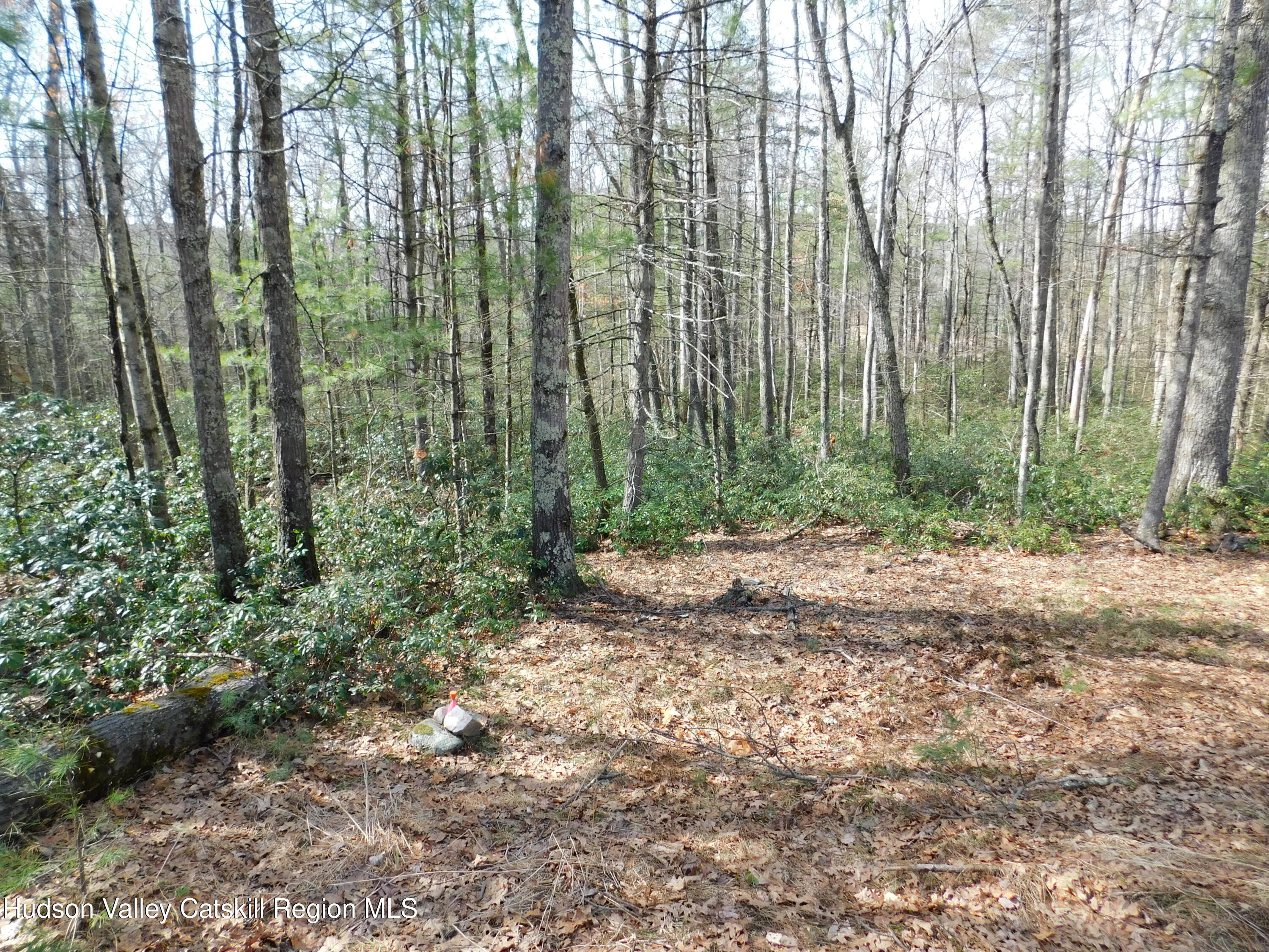 Tbd Wright Road Kerhonkson, NY 12446 - Photo 6 of 13 DSCN5467