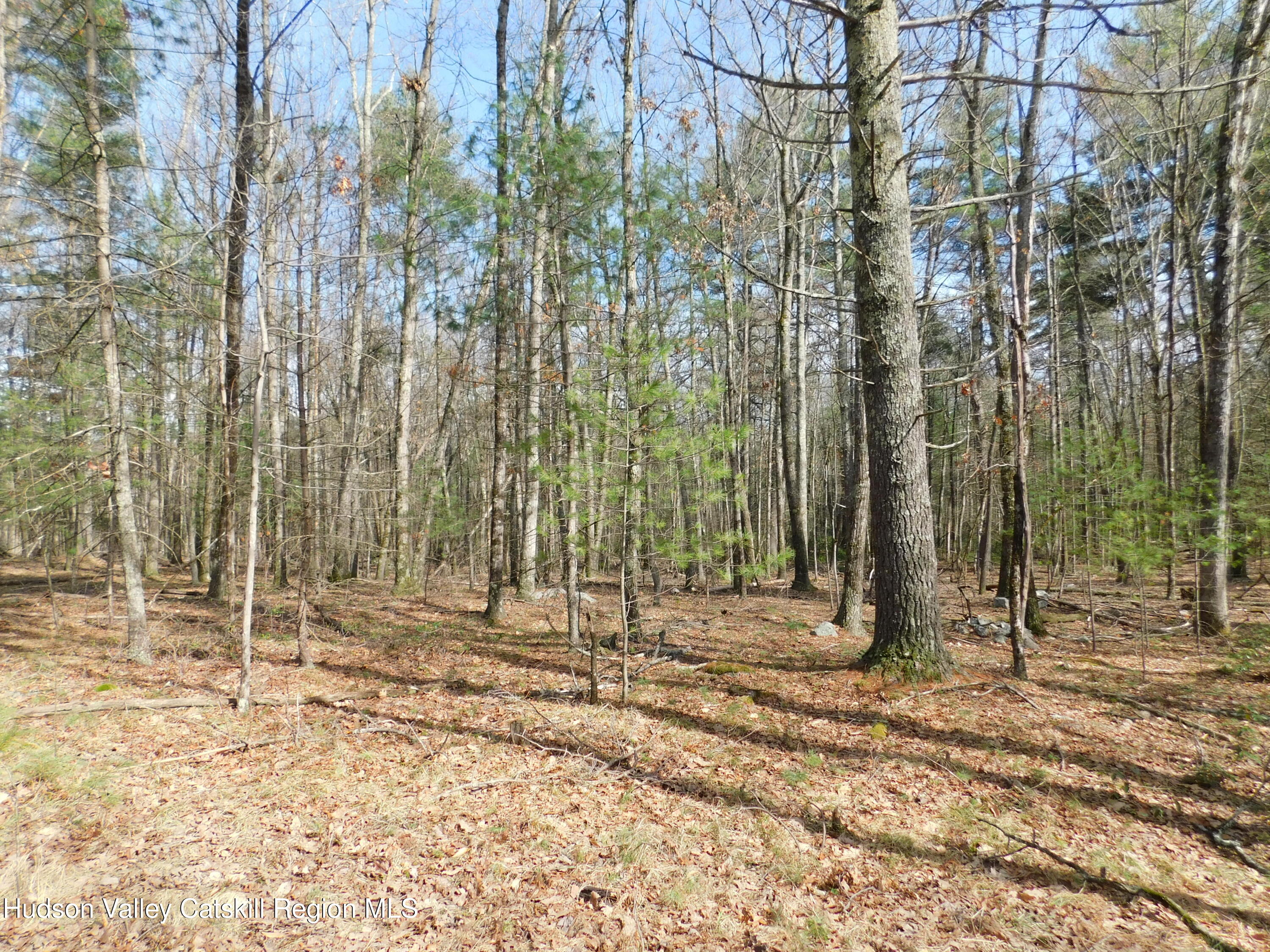 Tbd Wright Road Kerhonkson, NY 12446 - Photo 7 of 13 DSCN5470