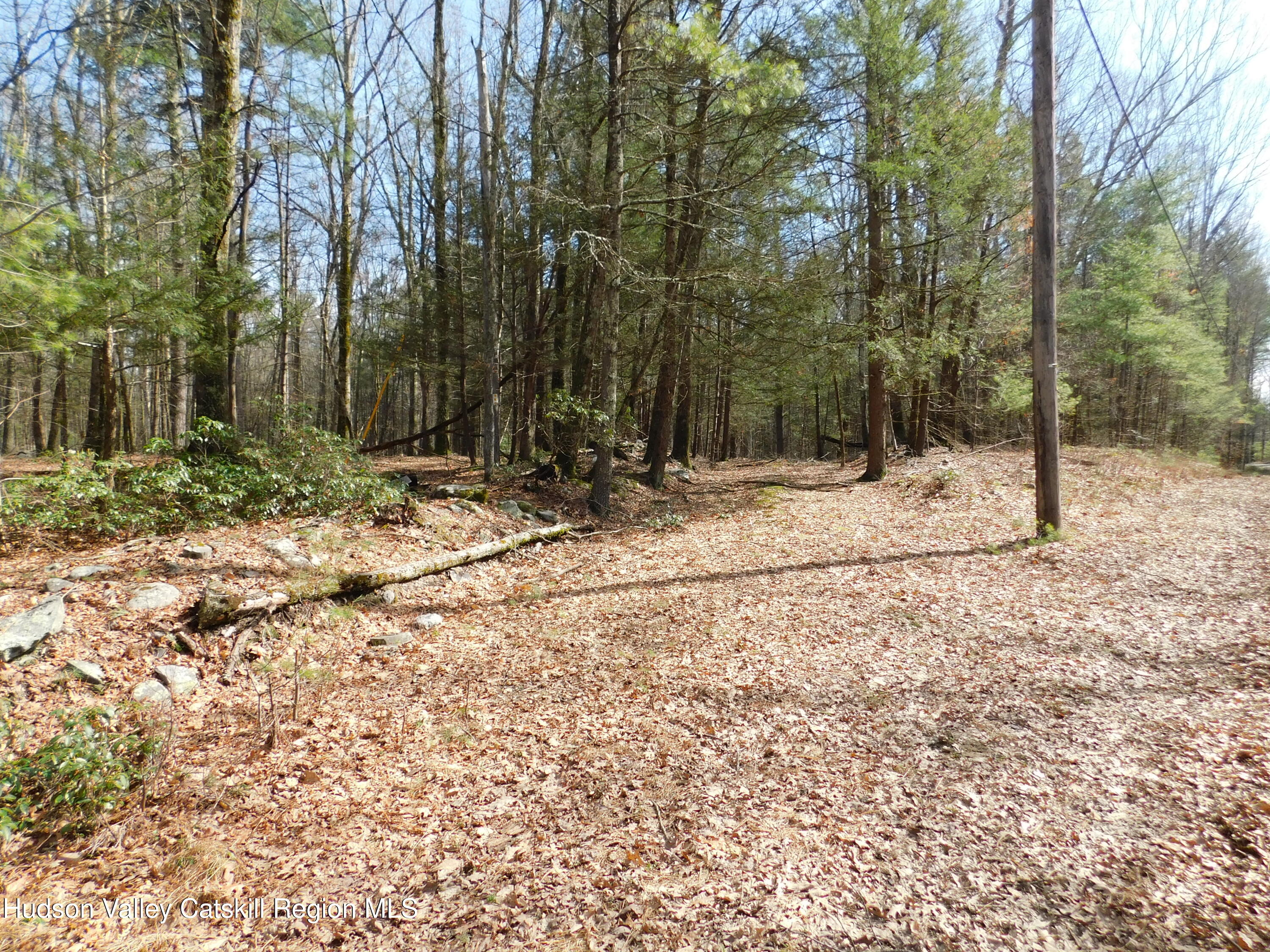 Tbd Wright Road Kerhonkson, NY 12446 - Photo 8 of 13 DSCN5471