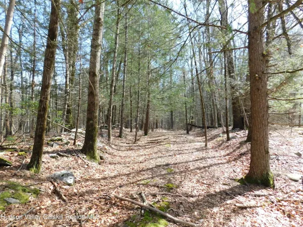 a view of a yard with trees