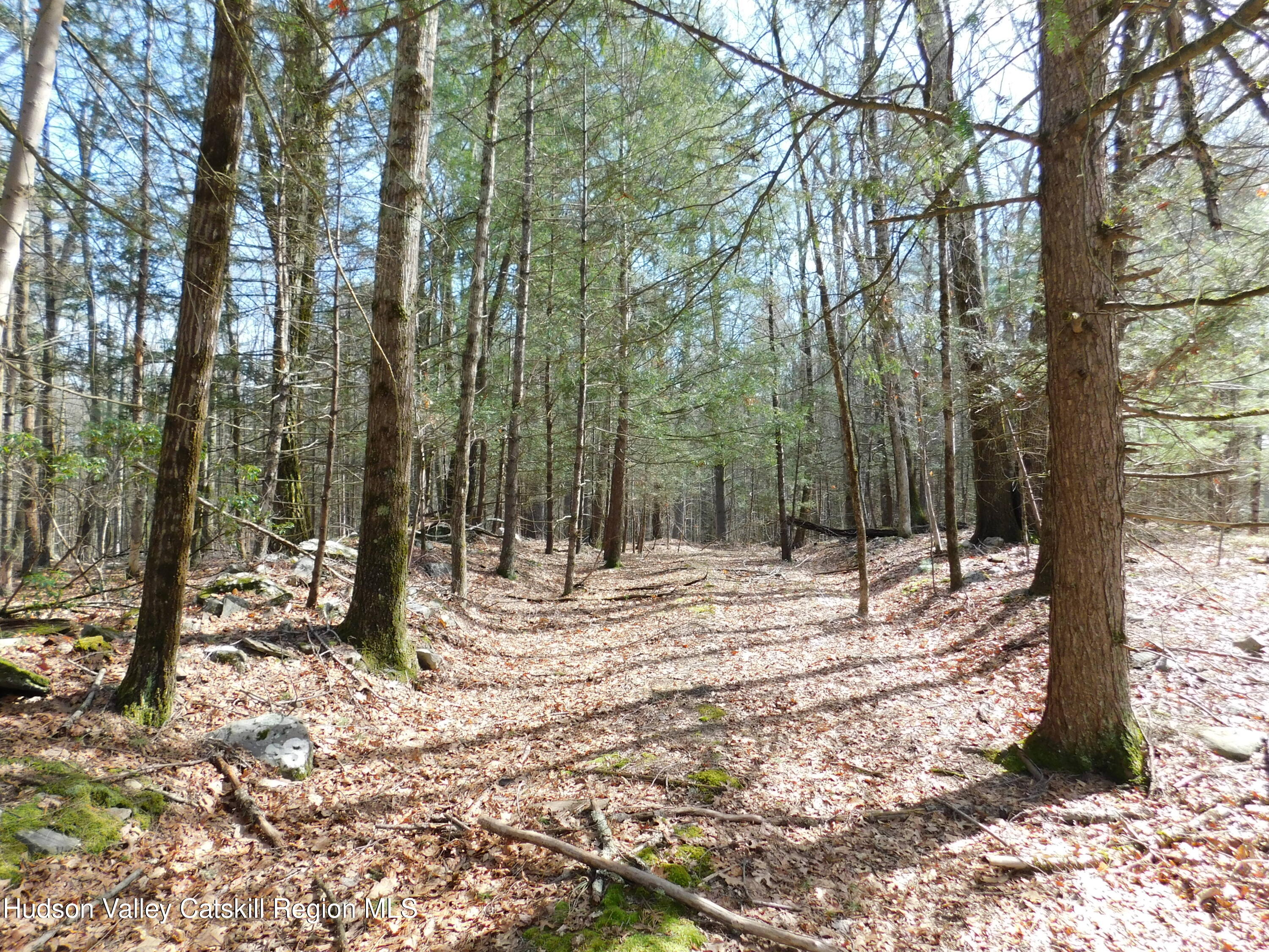 Tbd Wright Road Kerhonkson, NY 12446 - Photo 9 of 13 DSCN5473