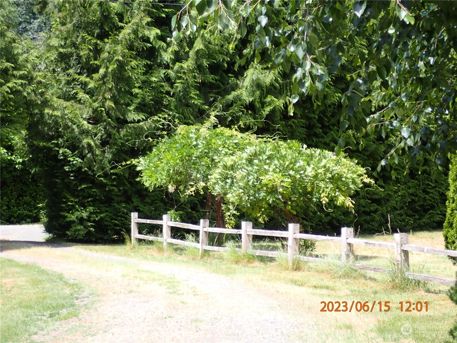 17940 Mi Lane Southwest Rochester, WA 98579 - Photo 12 of 39 a view of a swimming pool with an outdoor seating and a forest